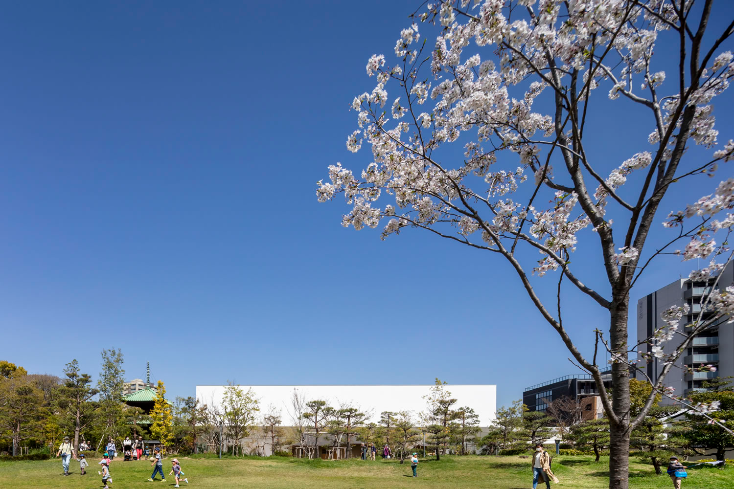 毛馬桜ノ宮公園（旧藤田邸跡公園）から美術館を望む