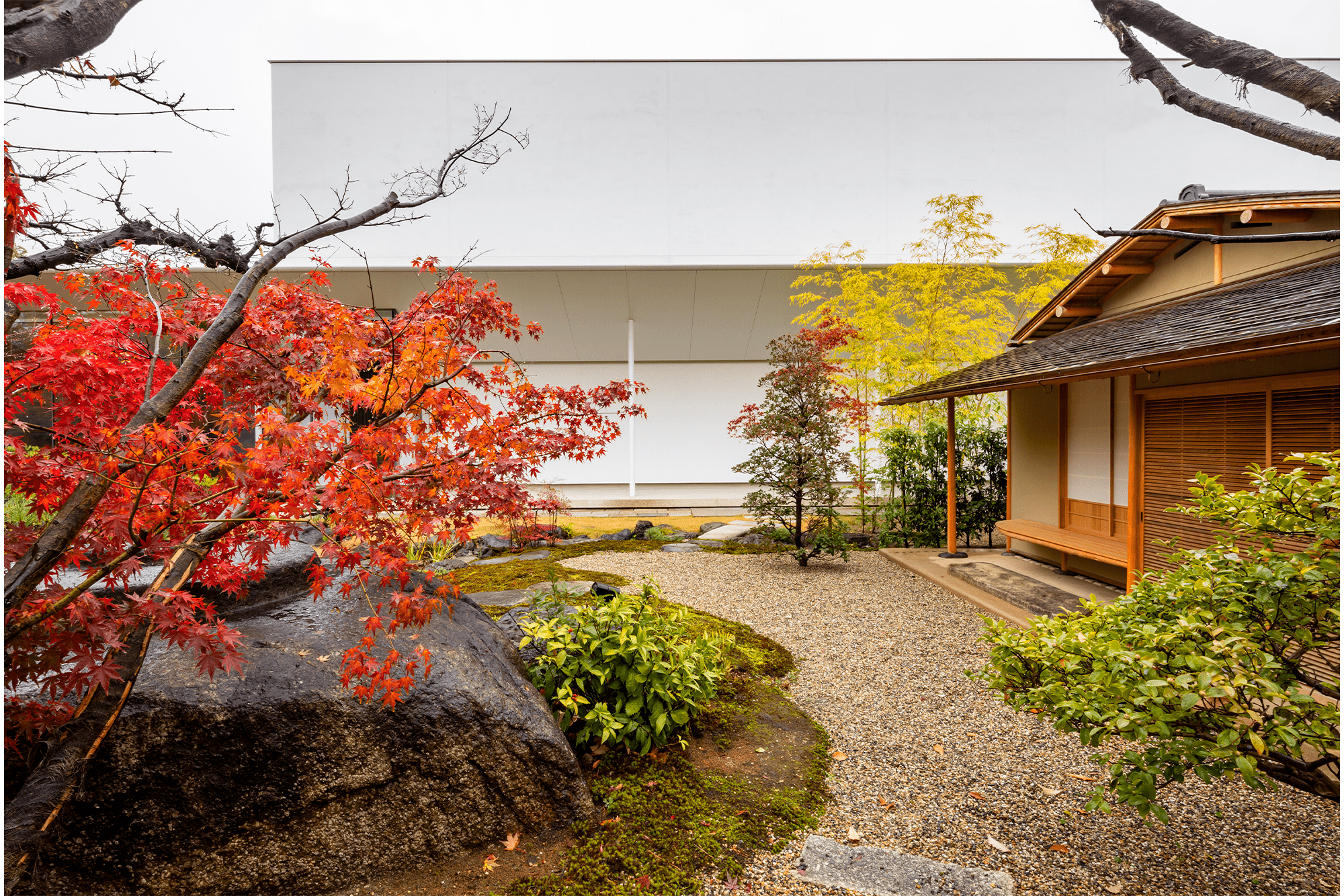 公園との境界を撤去し、隣接する公園とつながる美術館