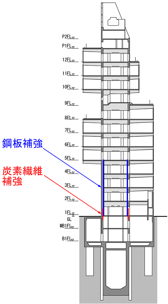 構造概略図