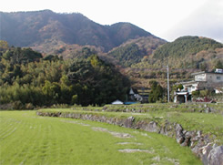 敷地周辺の風景