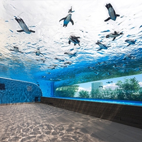 サンシャイン水族館　天空のオアシス第二章