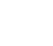 TAISEI