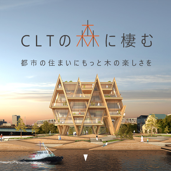 CLTの森に棲む